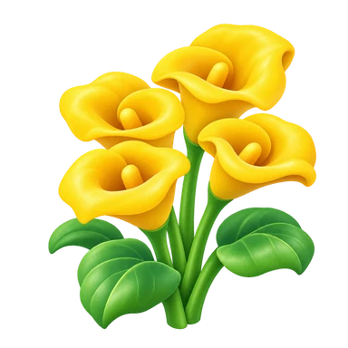 Calla jaune