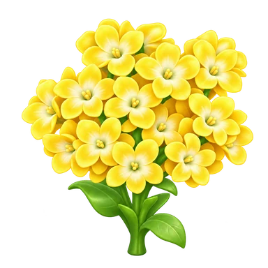 Jacinthe jaune