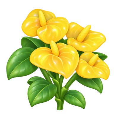 Anthurium jaune