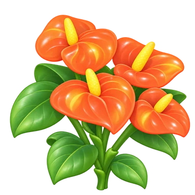 Anthurium orange