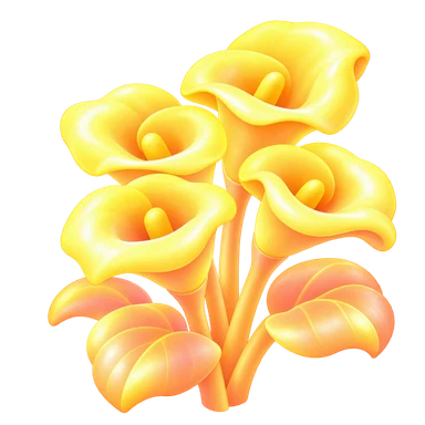Calla aurore
