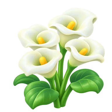 Calla blanche