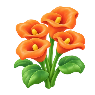 Calla orange