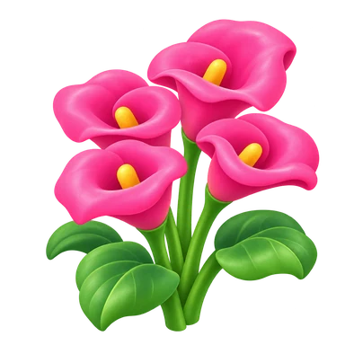 Calla pêche