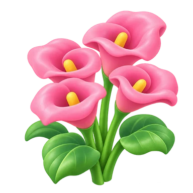 Calla rose