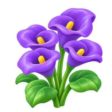 Calla violette