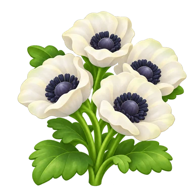 Coquelicot blanc