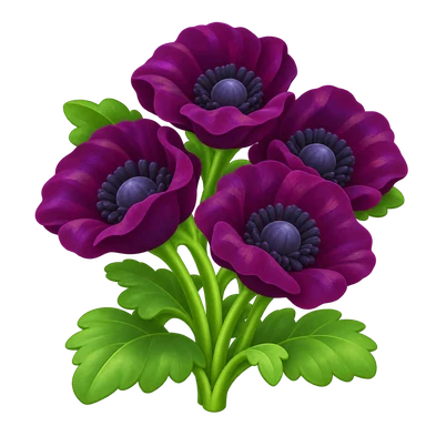 Coquelicot noir