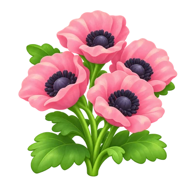 Coquelicot rose