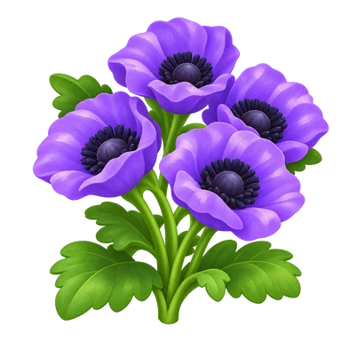 Coquelicot violet