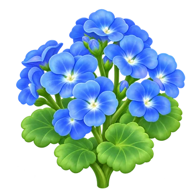 Géranium bleu