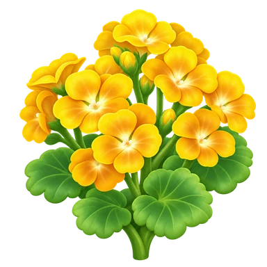 Géranium jaune