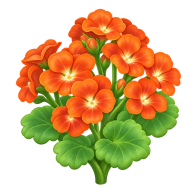 Géranium orange
