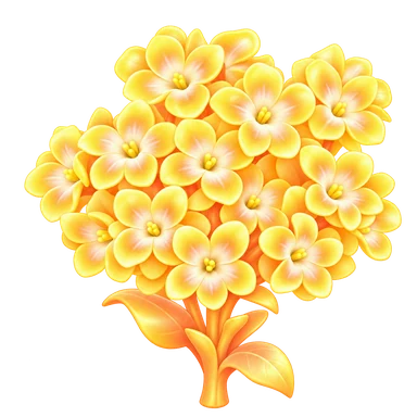 Jacinthe aurore