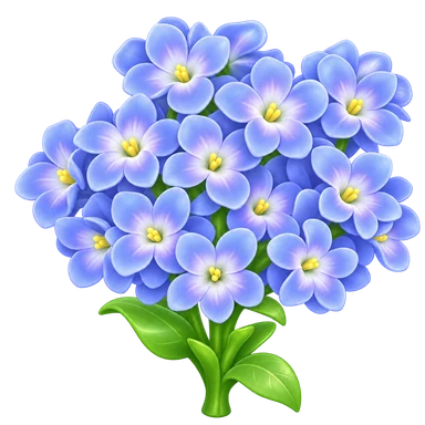 Jacinthe bleue