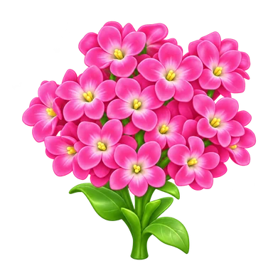 Jacinthe pêche