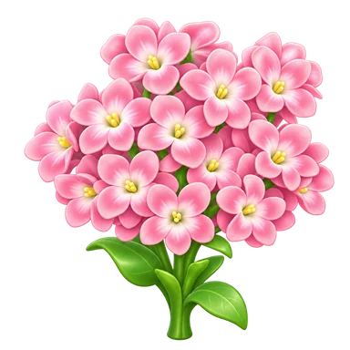 Jacinthe rose