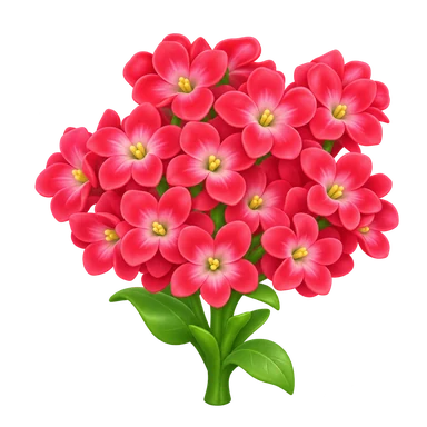 Jacinthe rouge