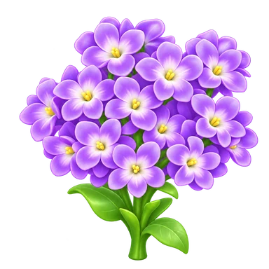 Jacinthe violette