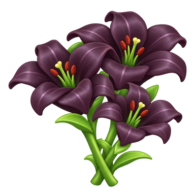 Lys noir