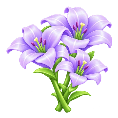 Lys violet
