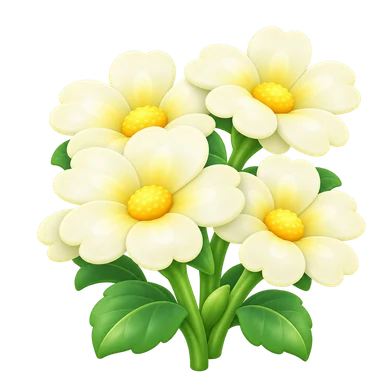 Marguerite blanche