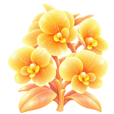 Phalaenopsis aurore