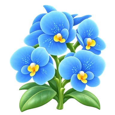 Phalaenopsis bleu