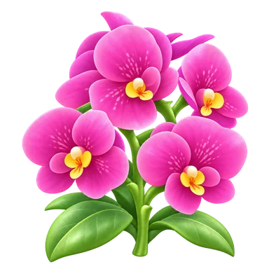 Phalaenopsis pêche