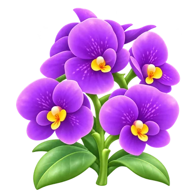 Phalaenopsis violet