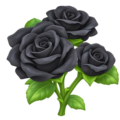 Rose noire
