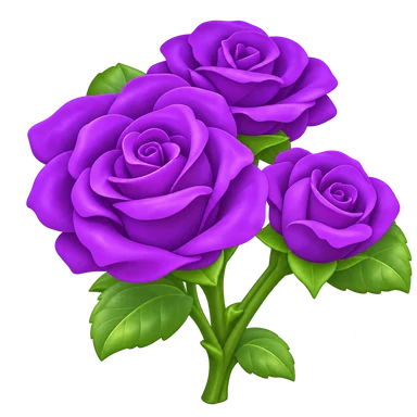 Rose violette