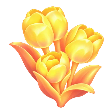 Tulipe aurore