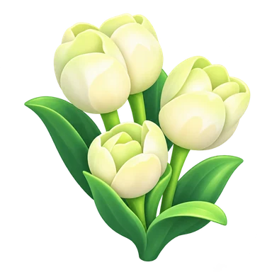 Tulipe blanche