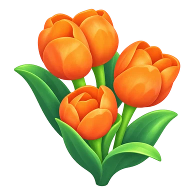 Tulipe orange