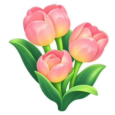 Tulipe rose