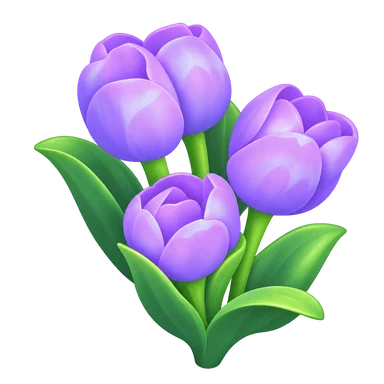 Tulipe violette