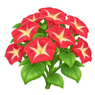 Volubilis rouge